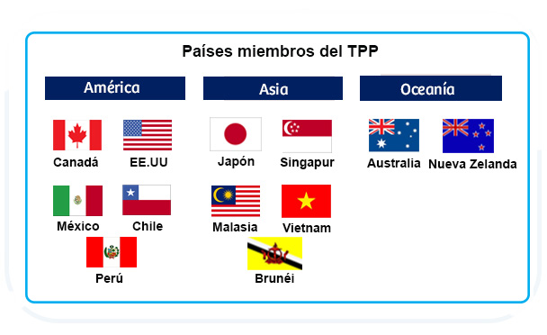 12_tpp